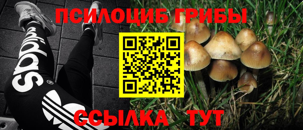 Кокаин  Гашиш  Меф МЯУ МЯУ   Лсд 25  Гусиноозёрск  Канабис  Вход с VPN  A-PVP СОЛЬ кристаллы  ГАШ 