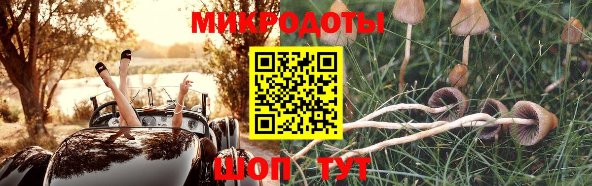Галлюциногенные грибы MAGIC MUSHROOMS Гусиноозёрск