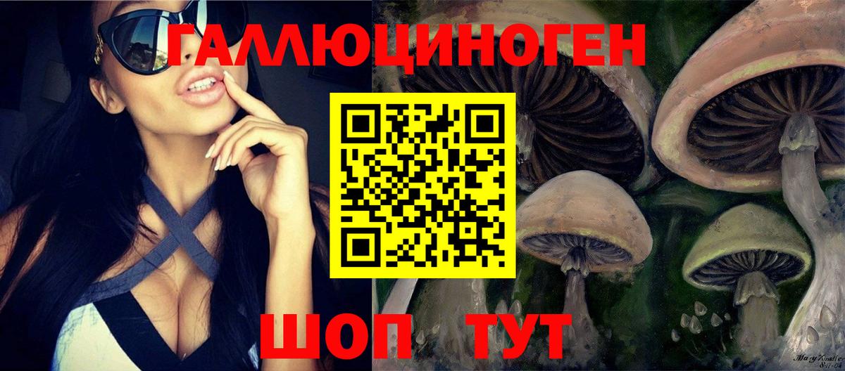 Гусиноозёрск  Псилоцибиновые грибы Magic Shrooms  Псилоцибиновые грибы прущие грибы  Вход с VPN 